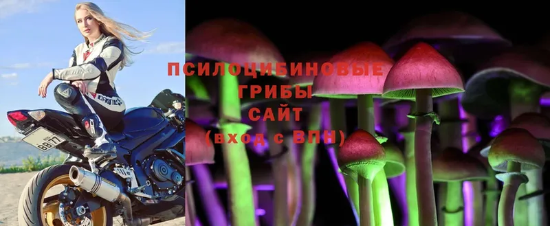 Галлюциногенные грибы Magic Shrooms  Калязин 